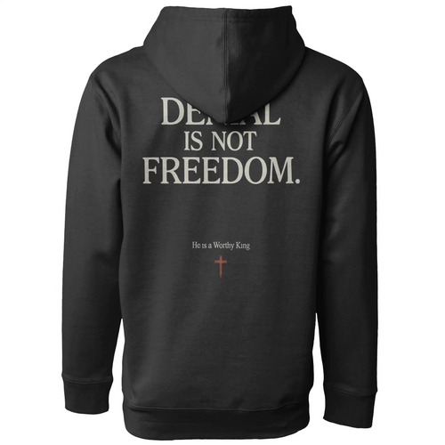 Denial is not Freedom Pullover Hoodie